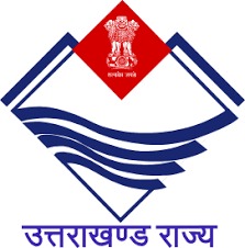 icds logo